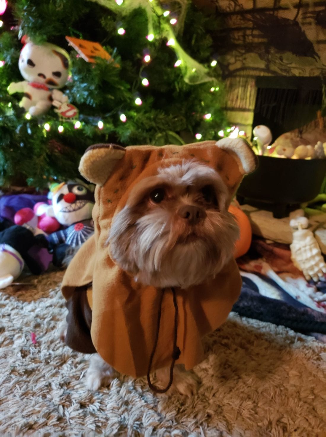 Teek the Ewok