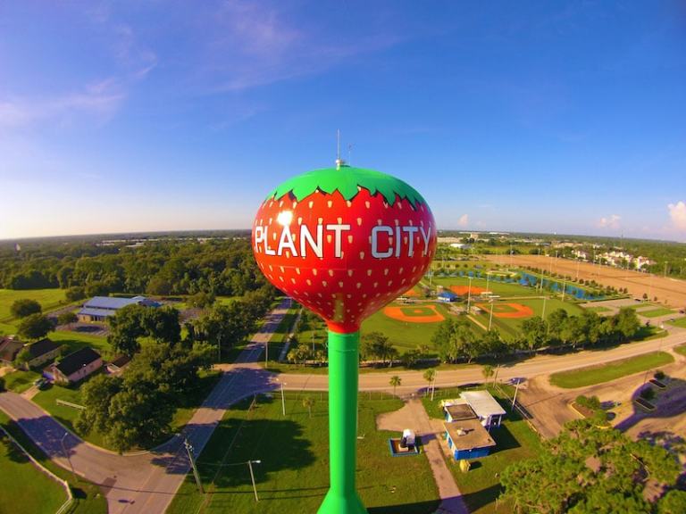 2022 Florida Strawberry Festival Guide New in town? Plant City Observer